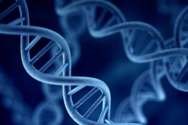Pengertian dan Teori Gen
